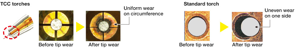 TCC TORCH